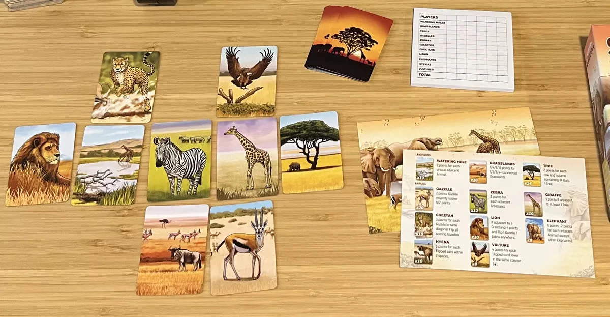 Ecosystem: Savanna - Image 3
