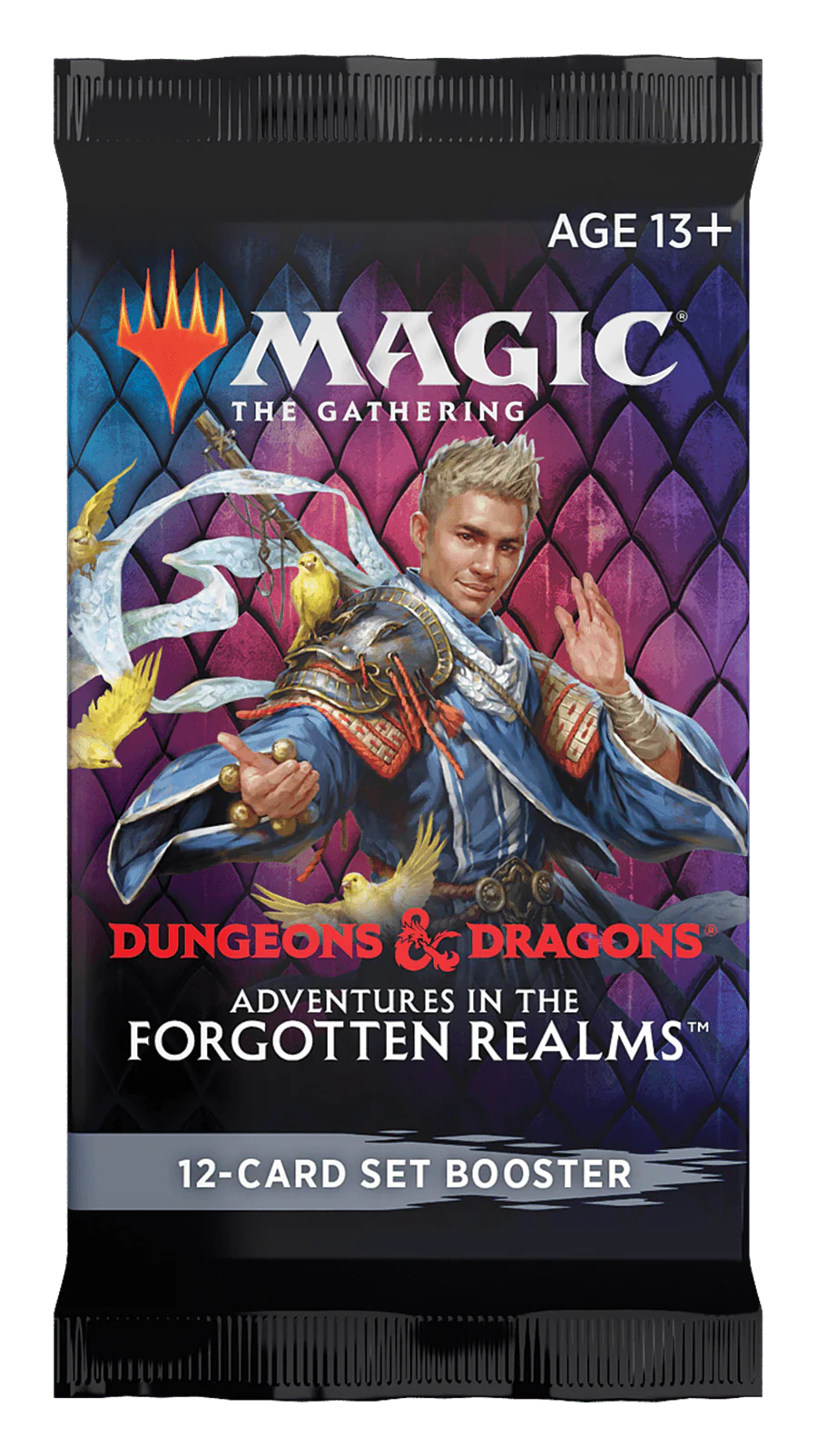 Magic the Gathering: Adventures in the Forgotten Realms Set Booster