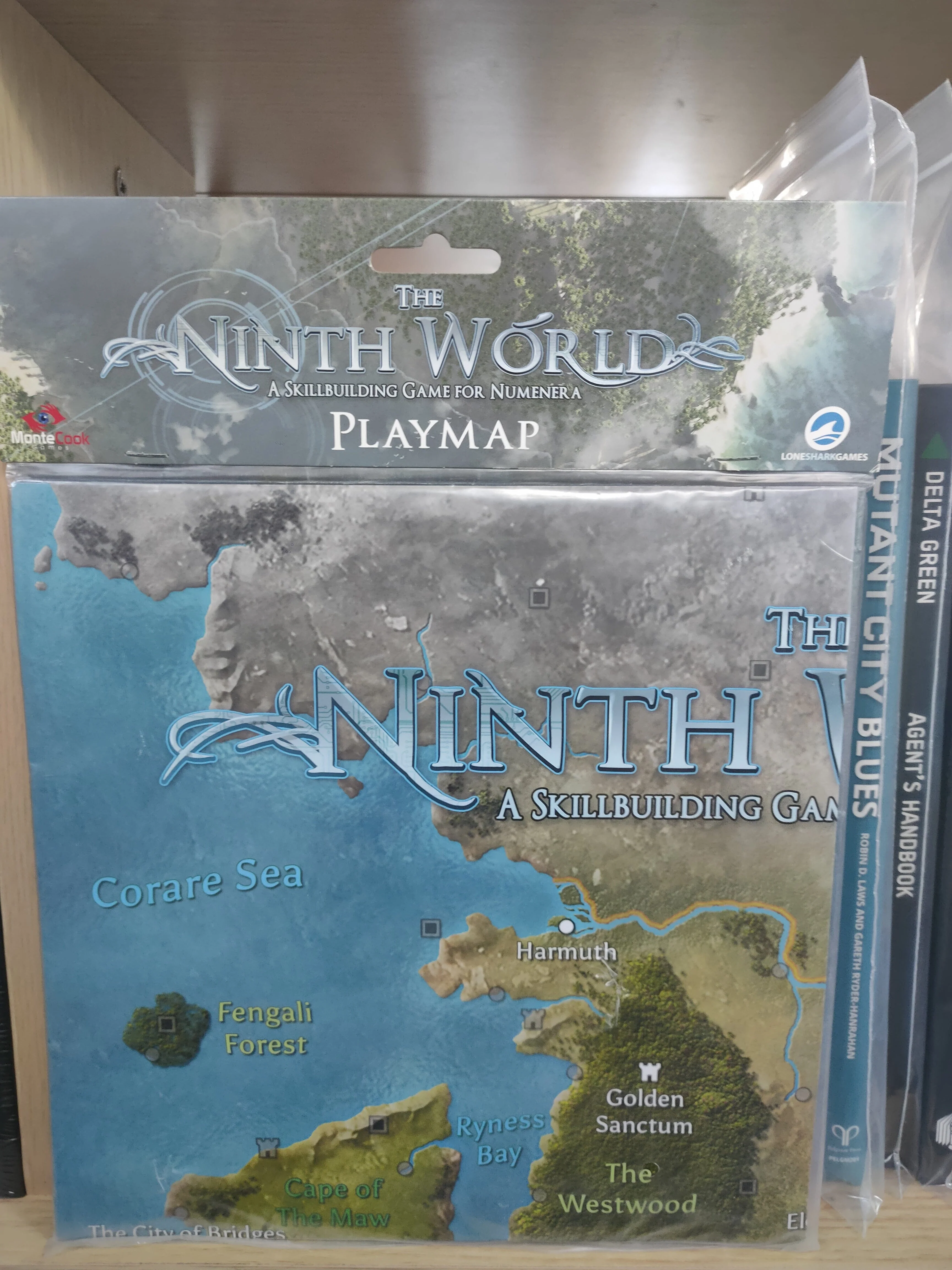 The Ninth World: Play Map